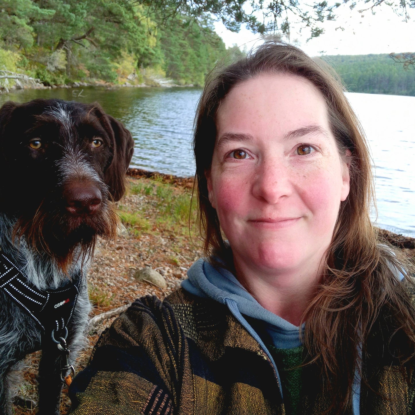 Christmas cards 10-pack