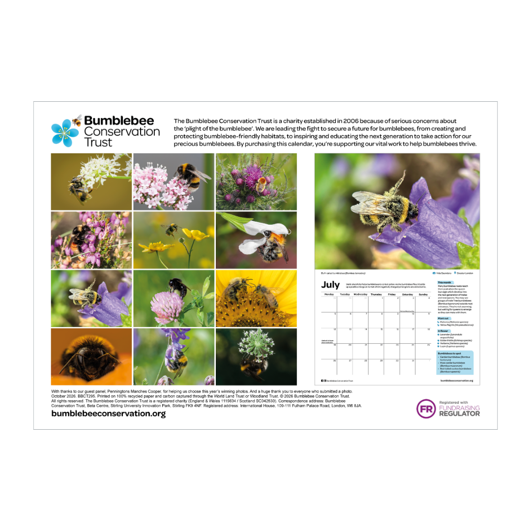 2027 bumblebee calendar