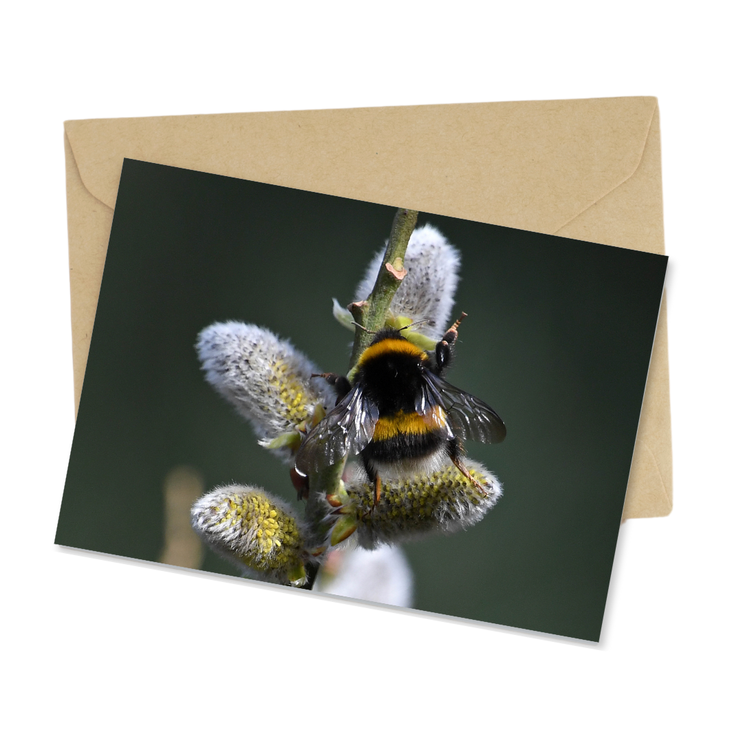 Christmas cards 9-pack