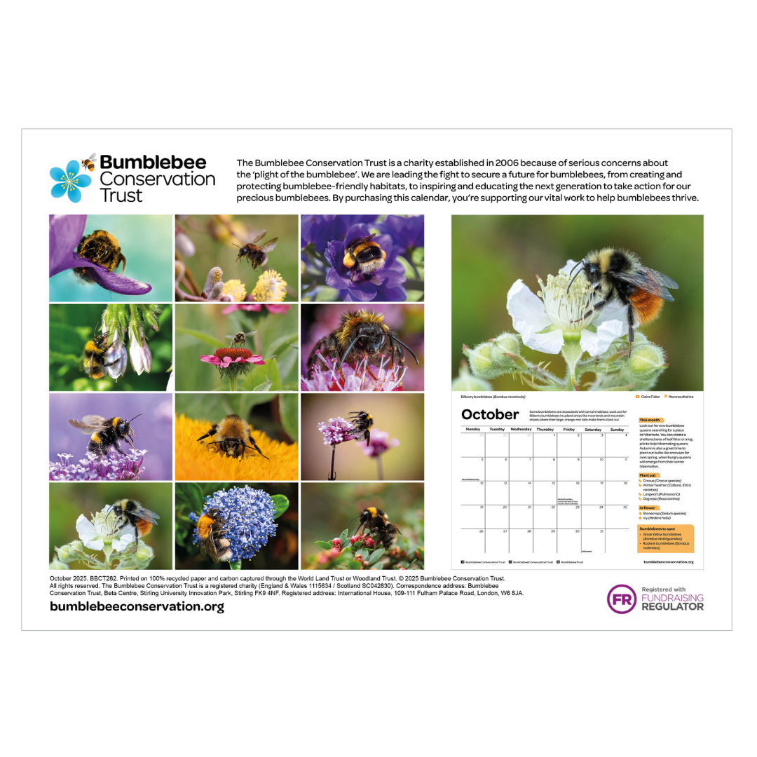 2026 bumblebee calendar