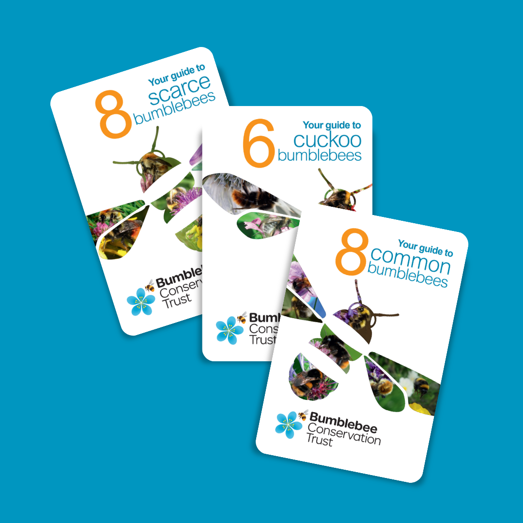Pocket-sized ID guide 3-pack!