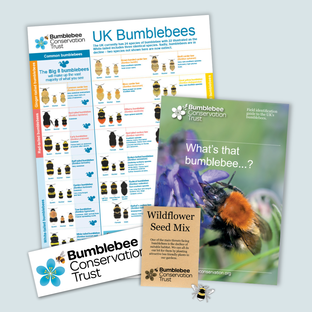 Bee ID pack