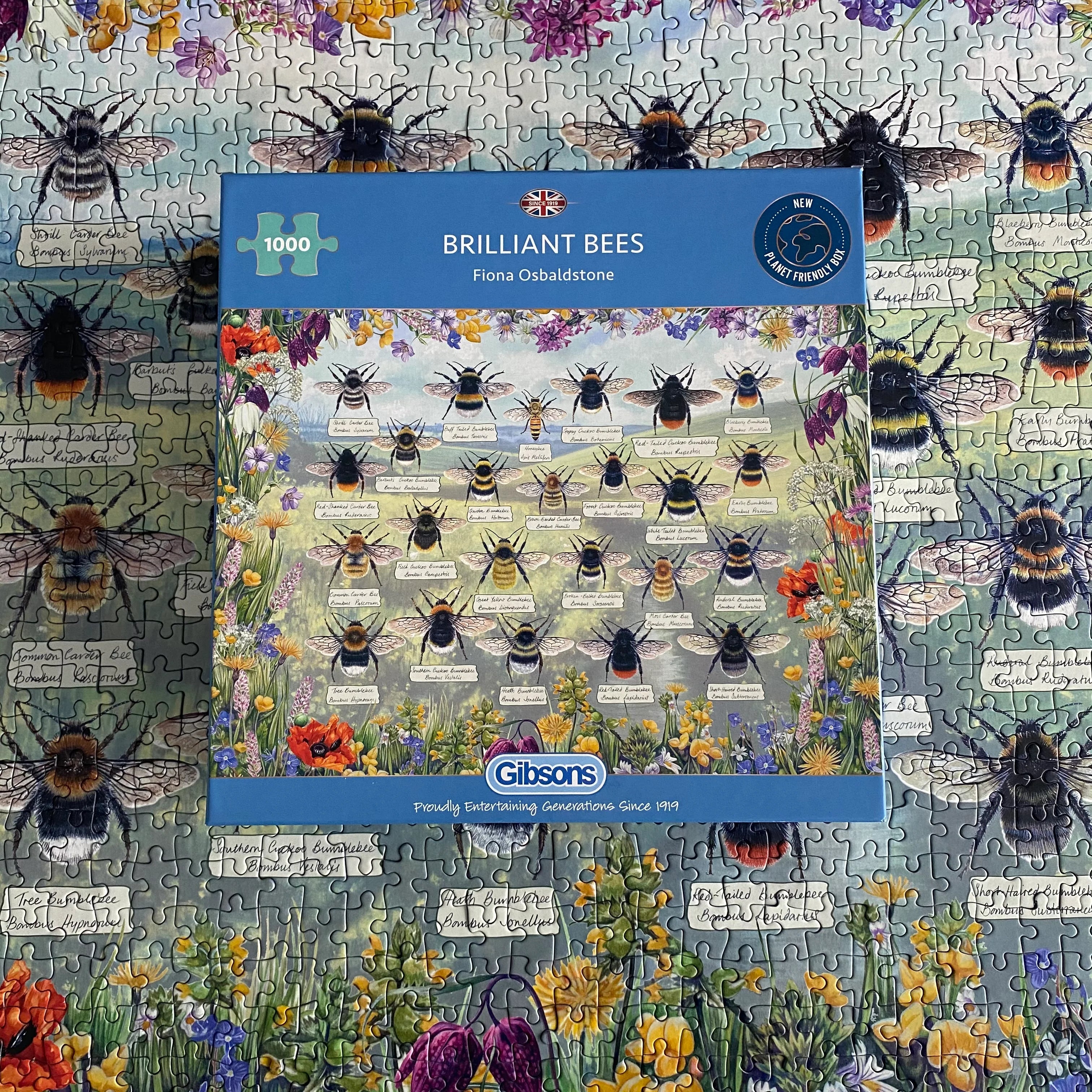 Brilliant Bees puzzle – Bumblebee Conservation Trust