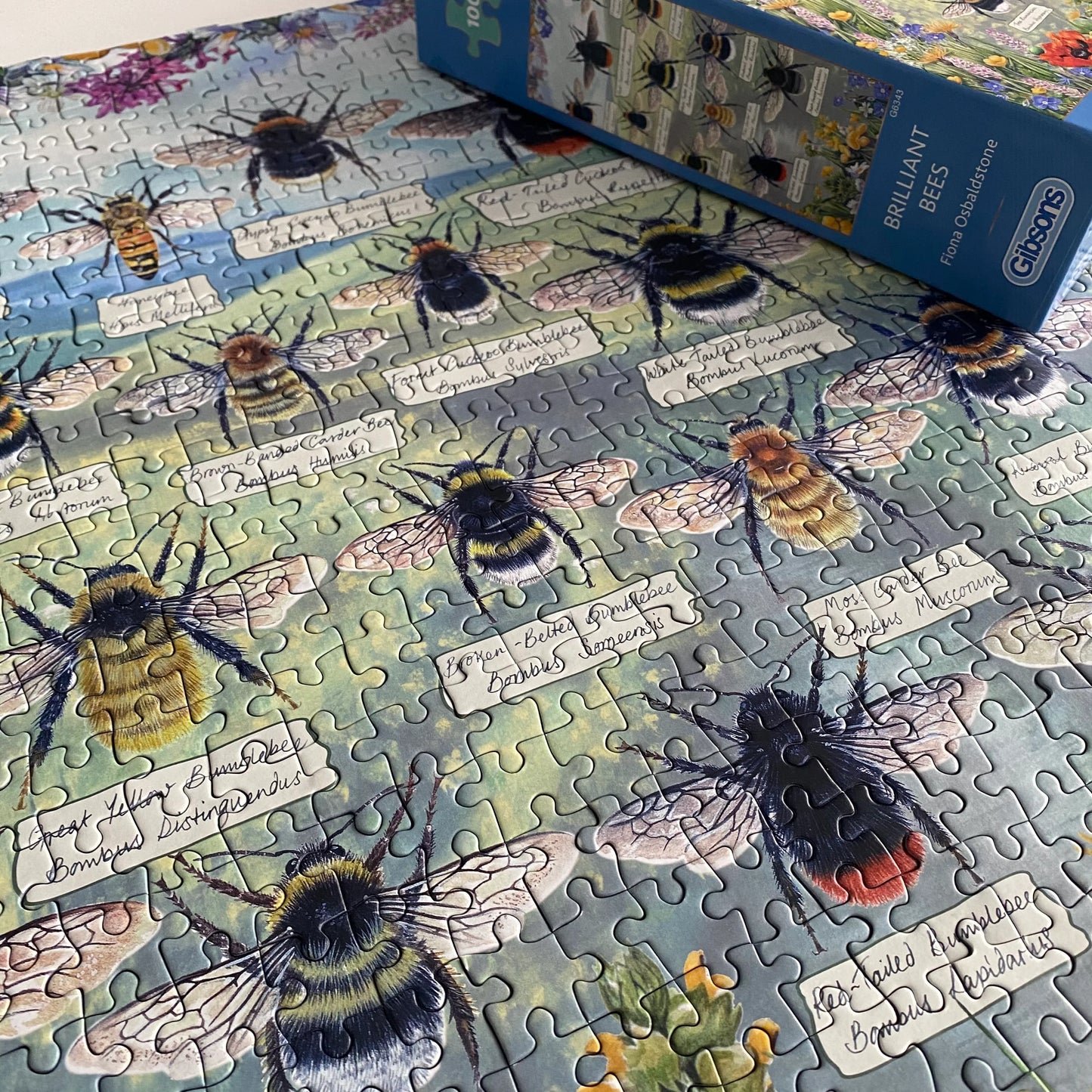 Brilliant Bees puzzle