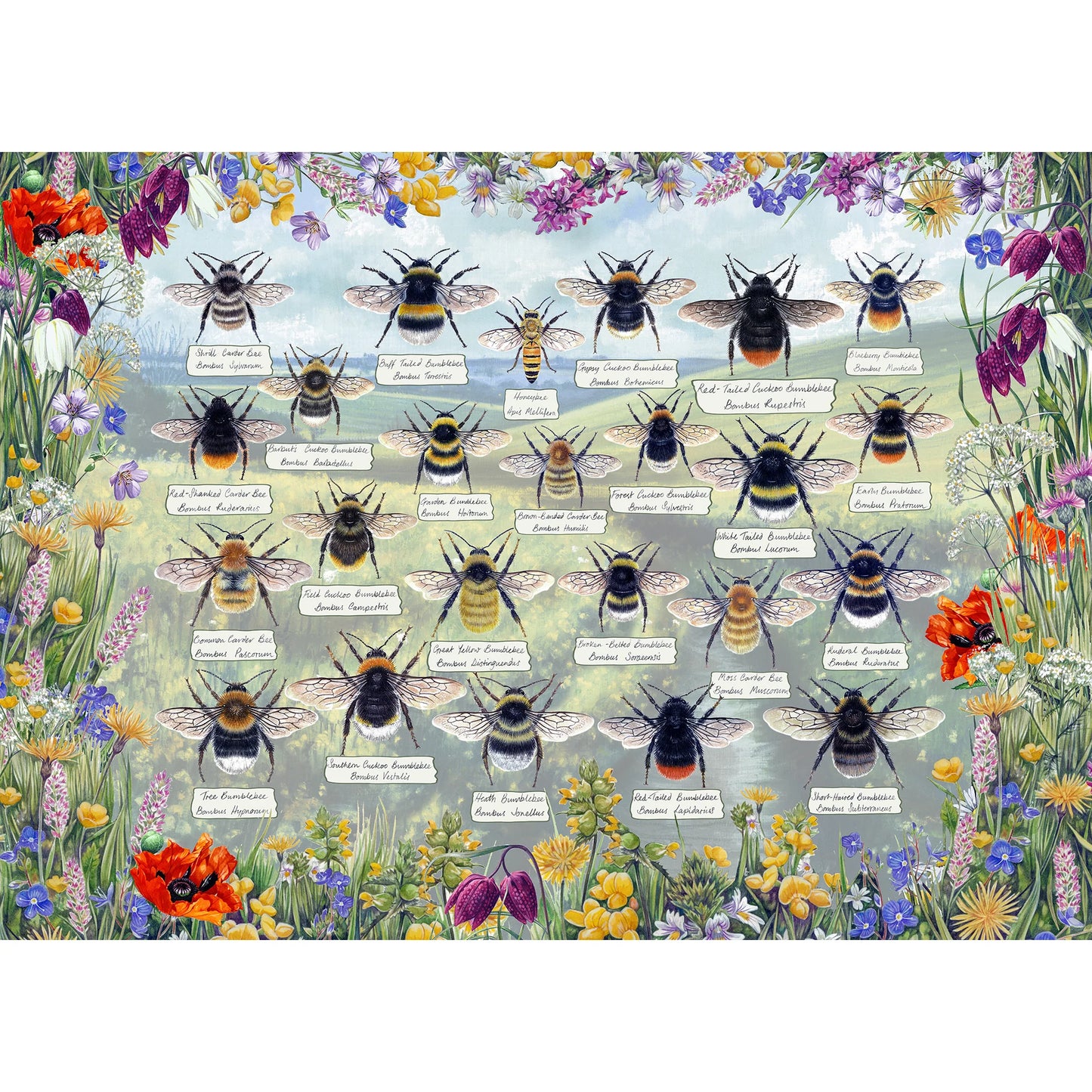 Brilliant Bees puzzle