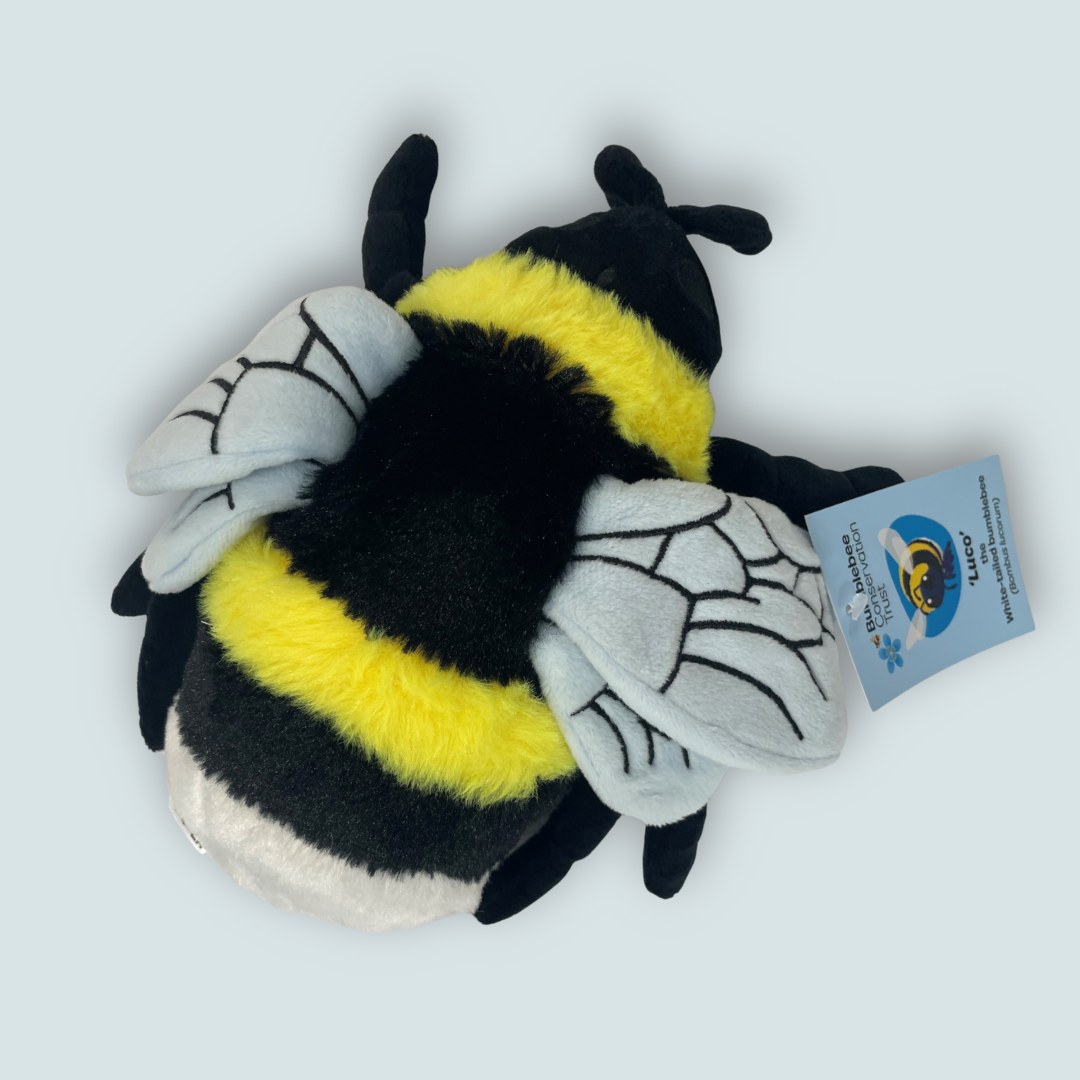 Bumblebee soft toy