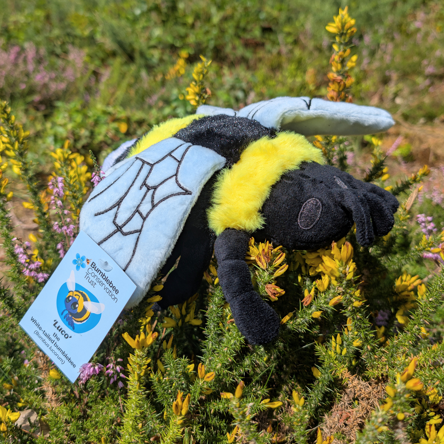 Bumblebee soft toy
