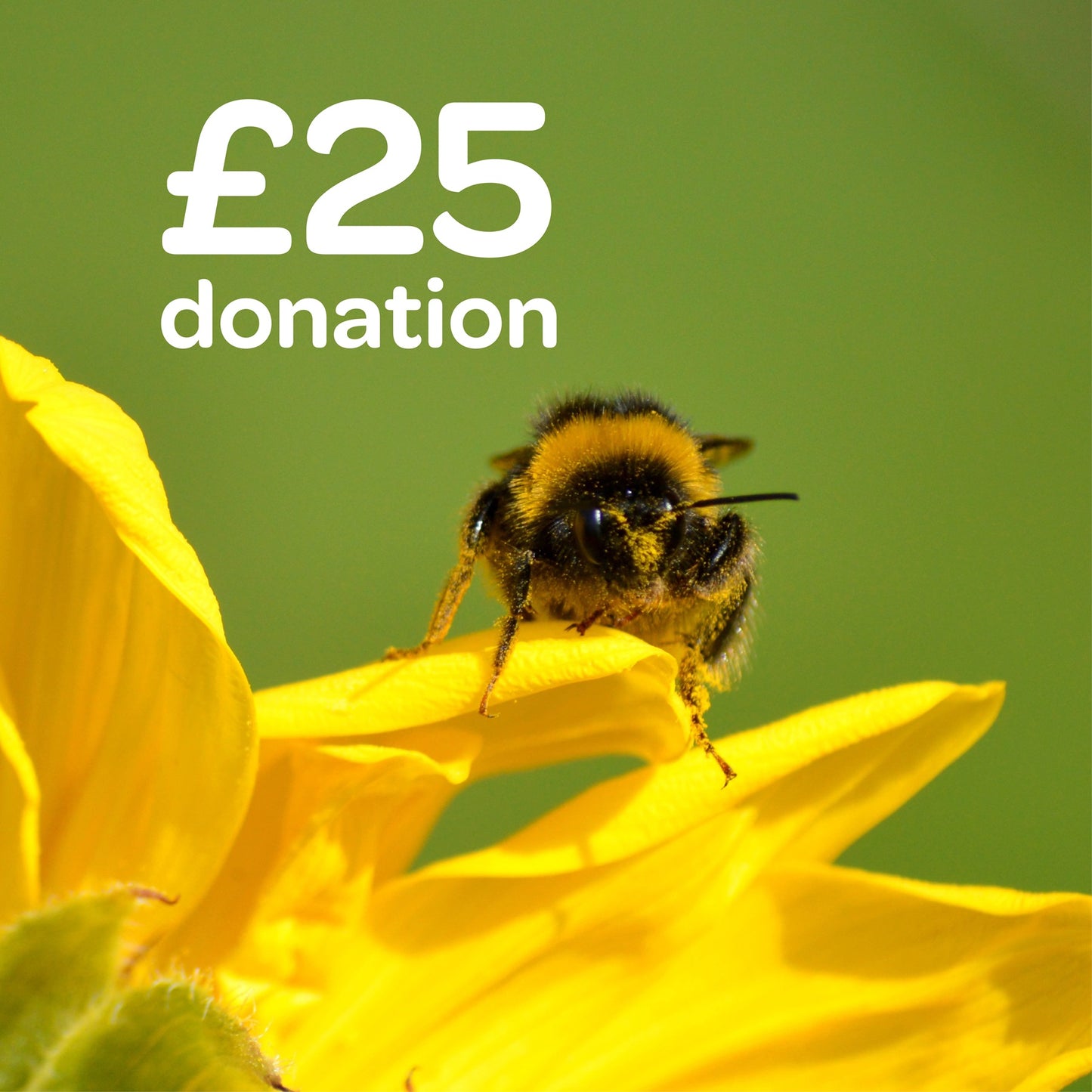 £25 donation