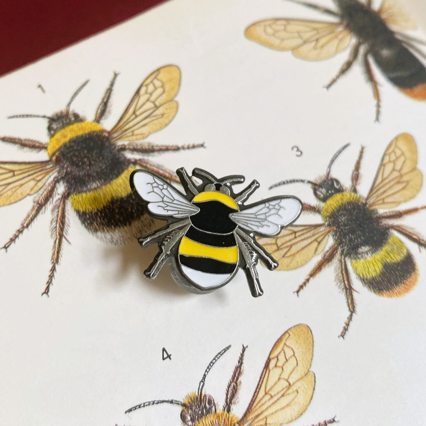 White-tailed bumblebee pin badge