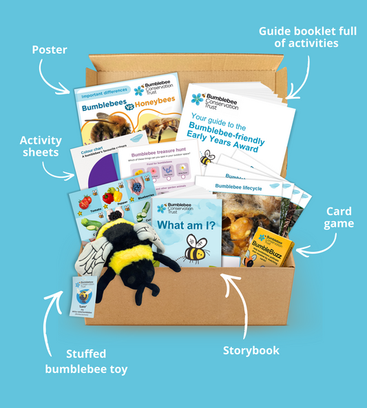Bumblebee-friendly Early Years Award box