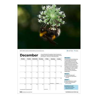 2027 bumblebee calendar