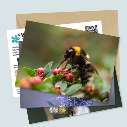 Christmas cards 9-pack