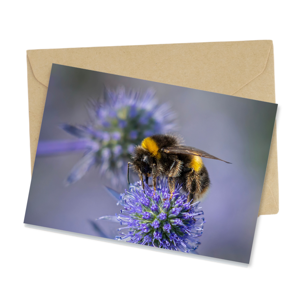 Christmas cards 9-pack