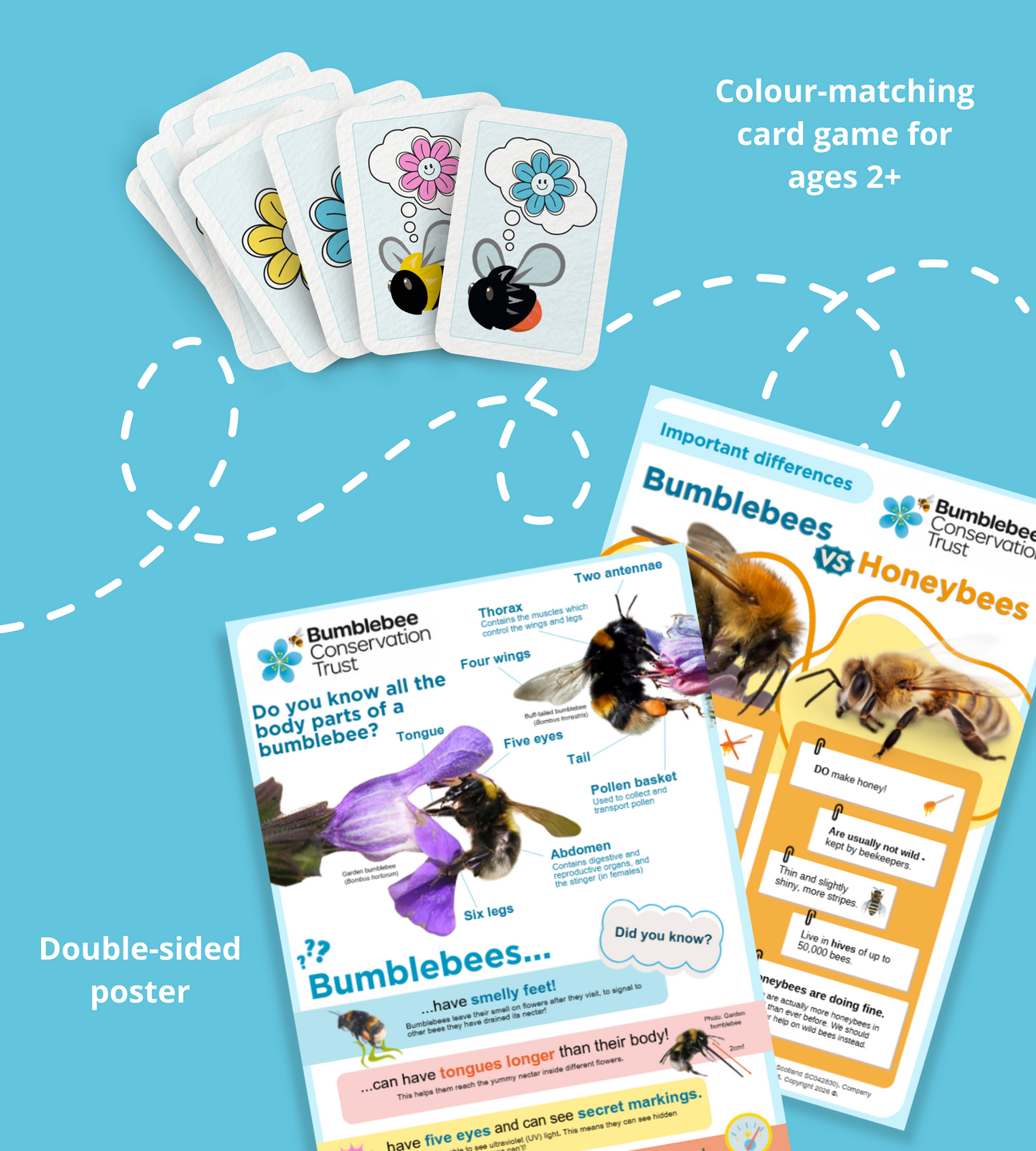 Bumblebee-friendly Early Years Award box