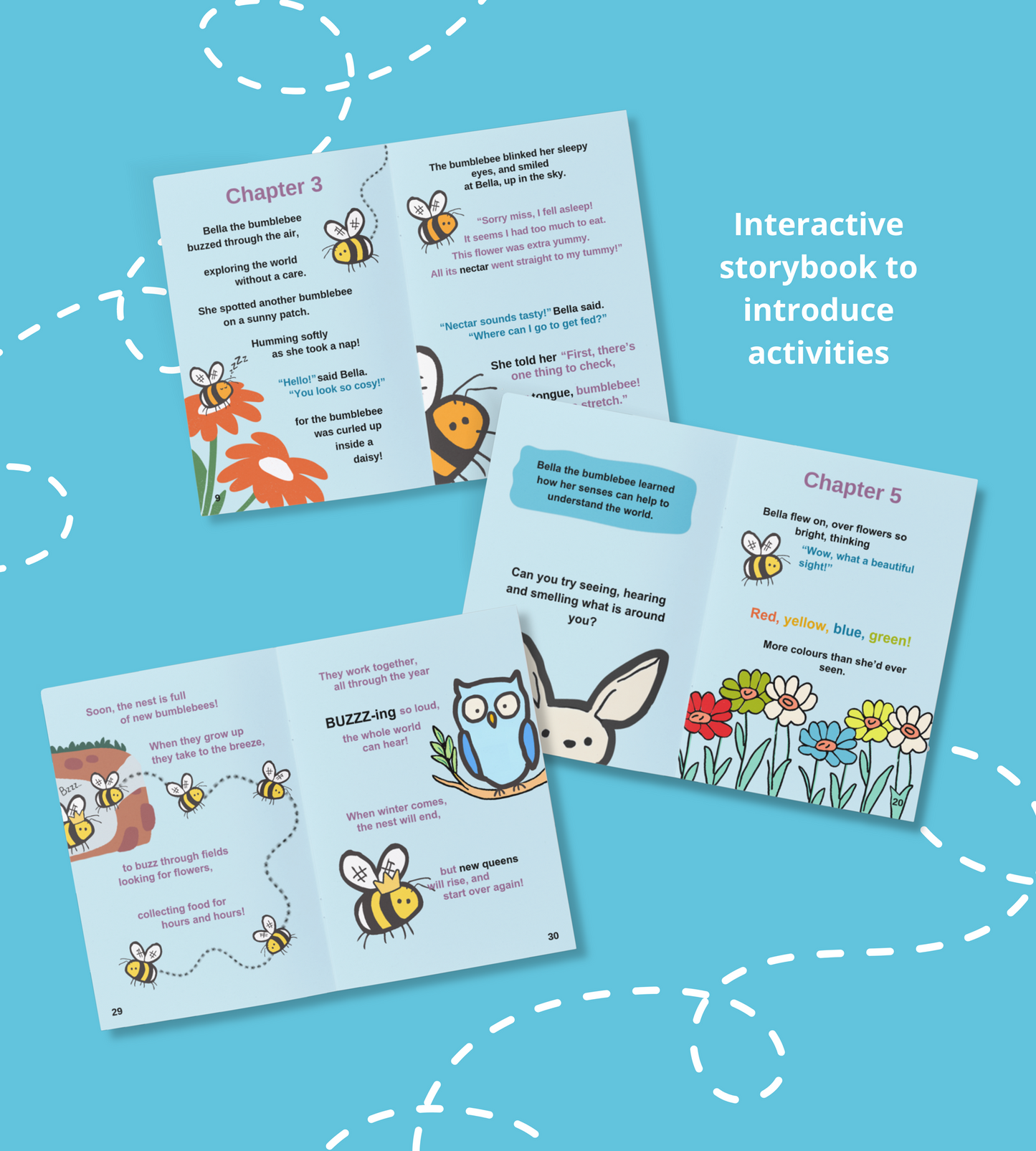 Bumblebee-friendly Early Years Award box