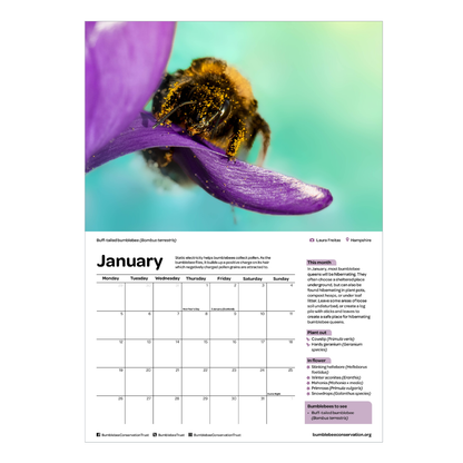 2026 bumblebee calendar