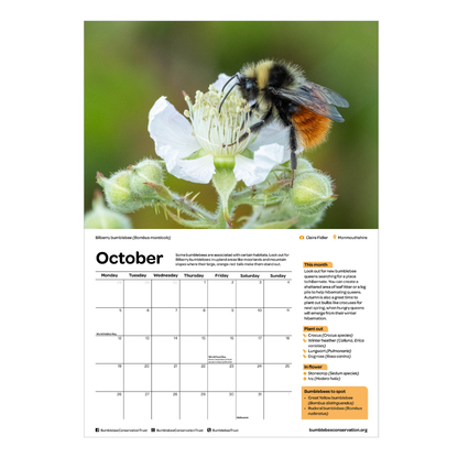 2026 bumblebee calendar