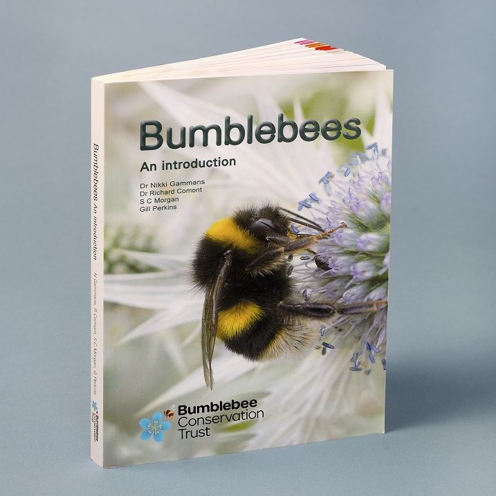 Bumblebee Conservation Trust shop