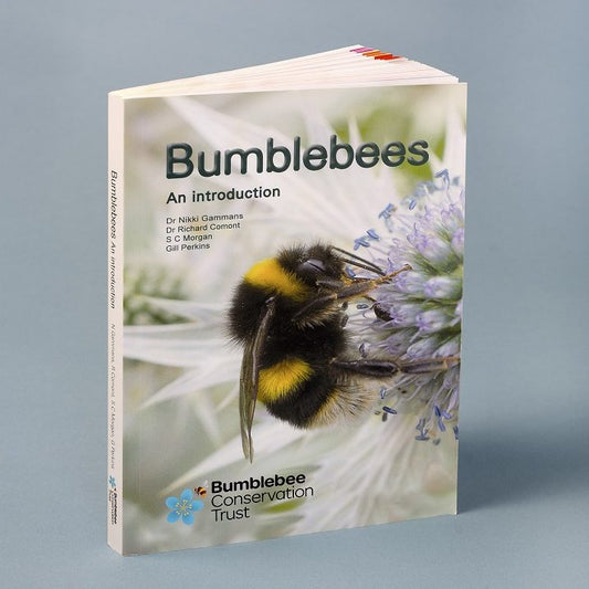 Bumblebees – An introduction