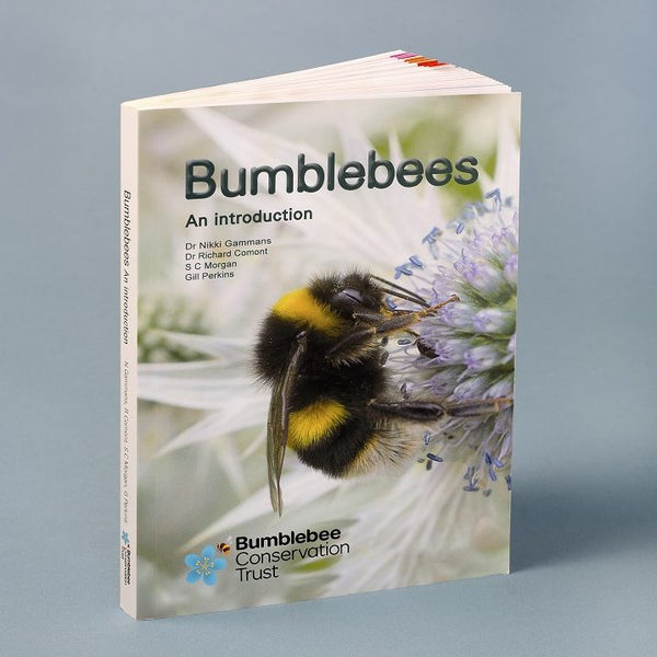 Bumblebee Conservation Trust shop
