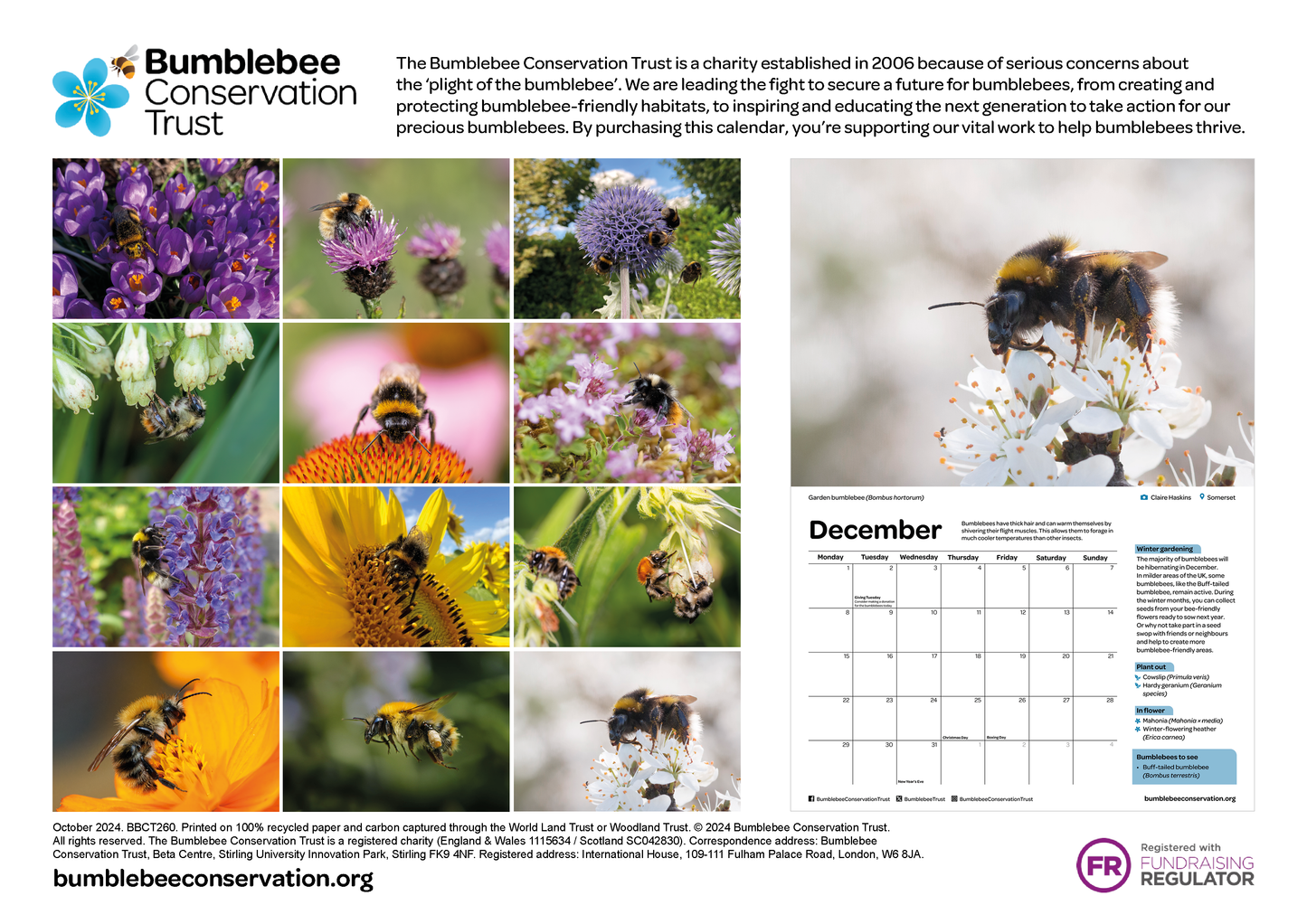 2025 Bumblebee Calendar