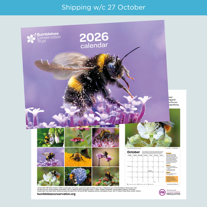 2026 bumblebee calendar