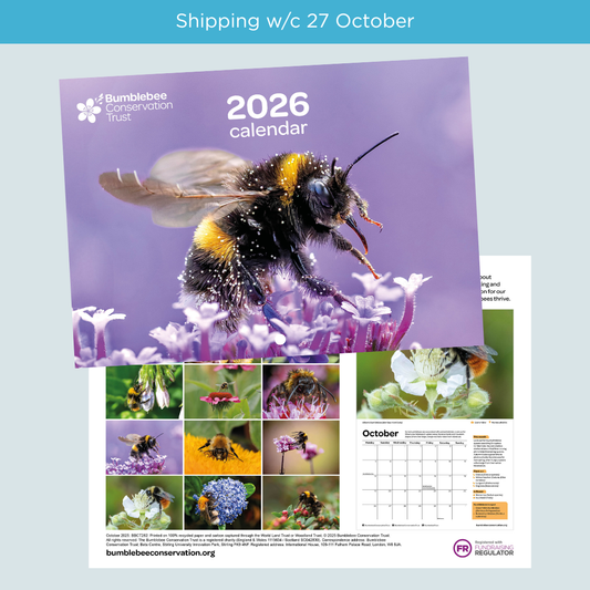 2026 bumblebee calendar